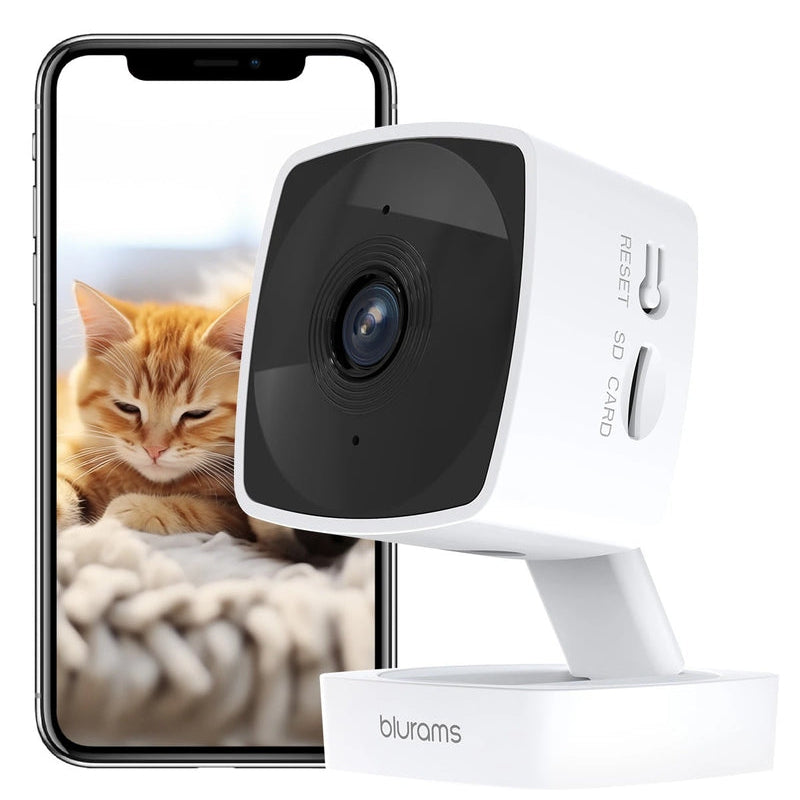 White security camera with smartphone displaying a cat on a white background
