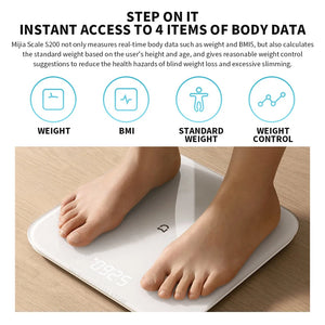 Body Composition Scale