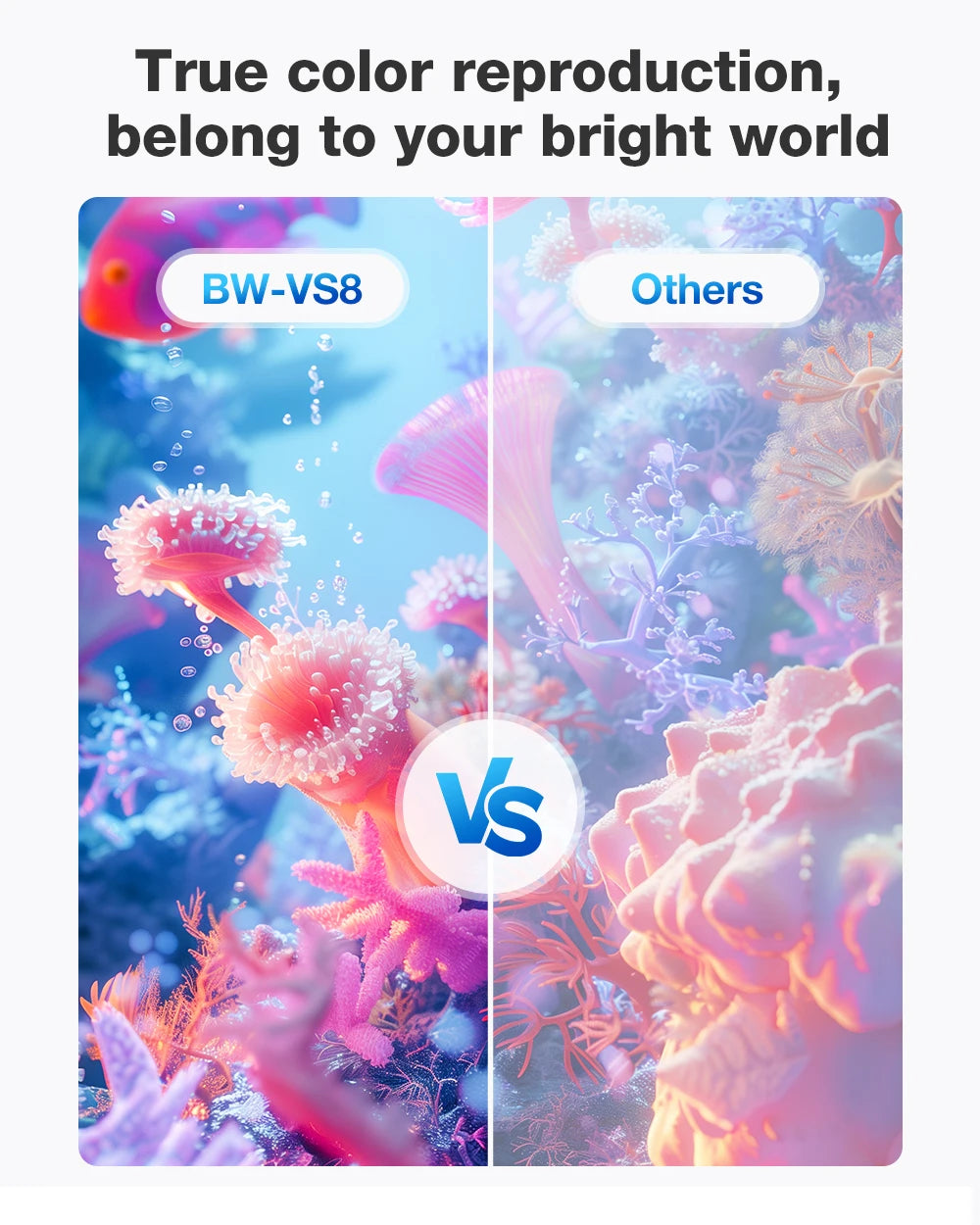 BLITZWOLF BW-VS8 16:9 Portable Metal Anti-Light Projector Screen